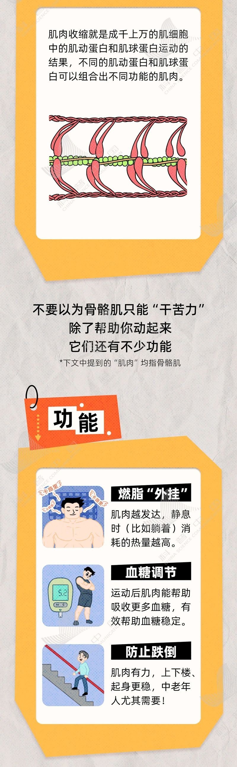 健身日, cn