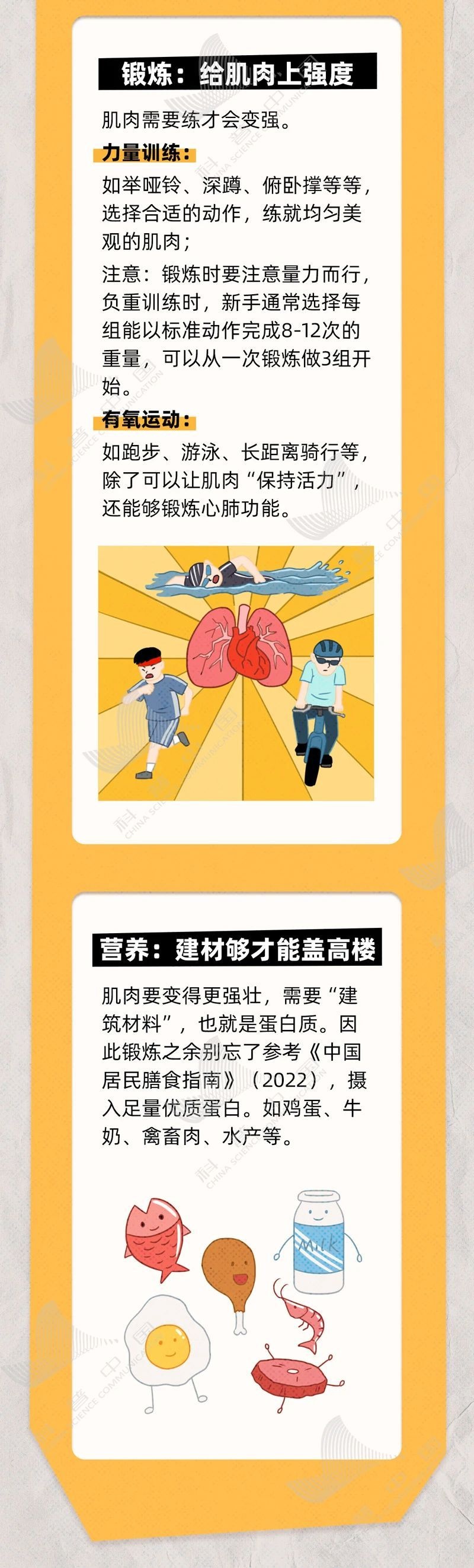 yid, 有个燃脂小, AA